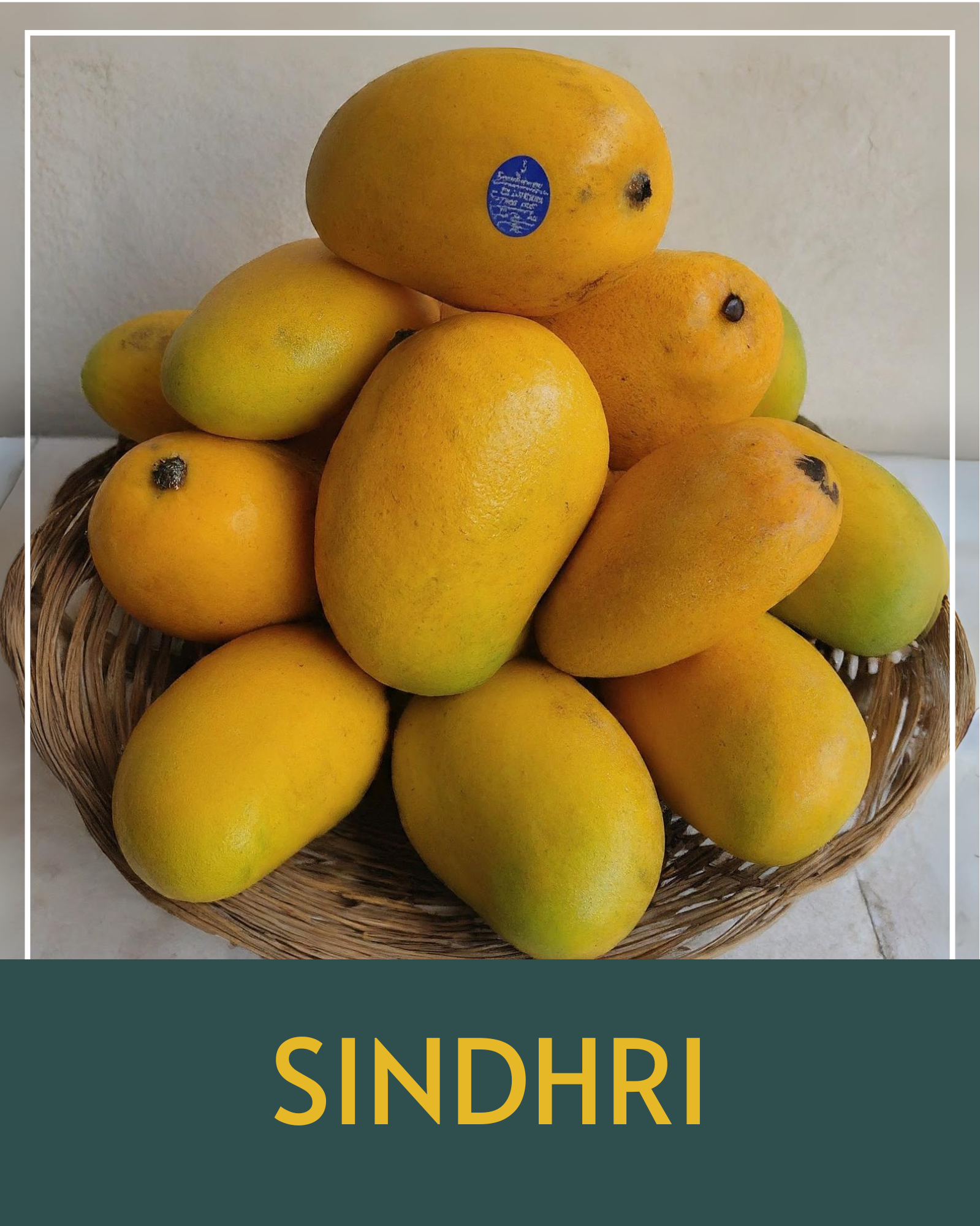 Sweet and creamy Sindhri mangoes, a premium Pakistani variety available in Canada.